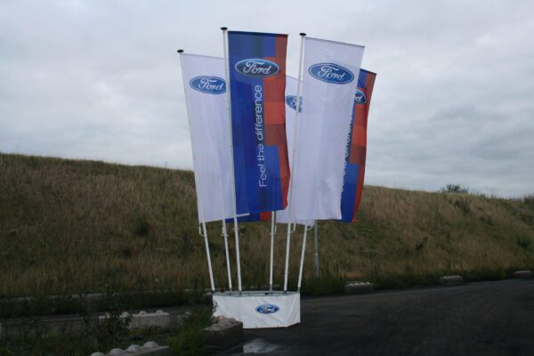 Ford in beeld